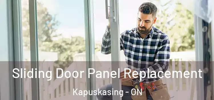  Sliding Door Panel Replacement Kapuskasing - ON